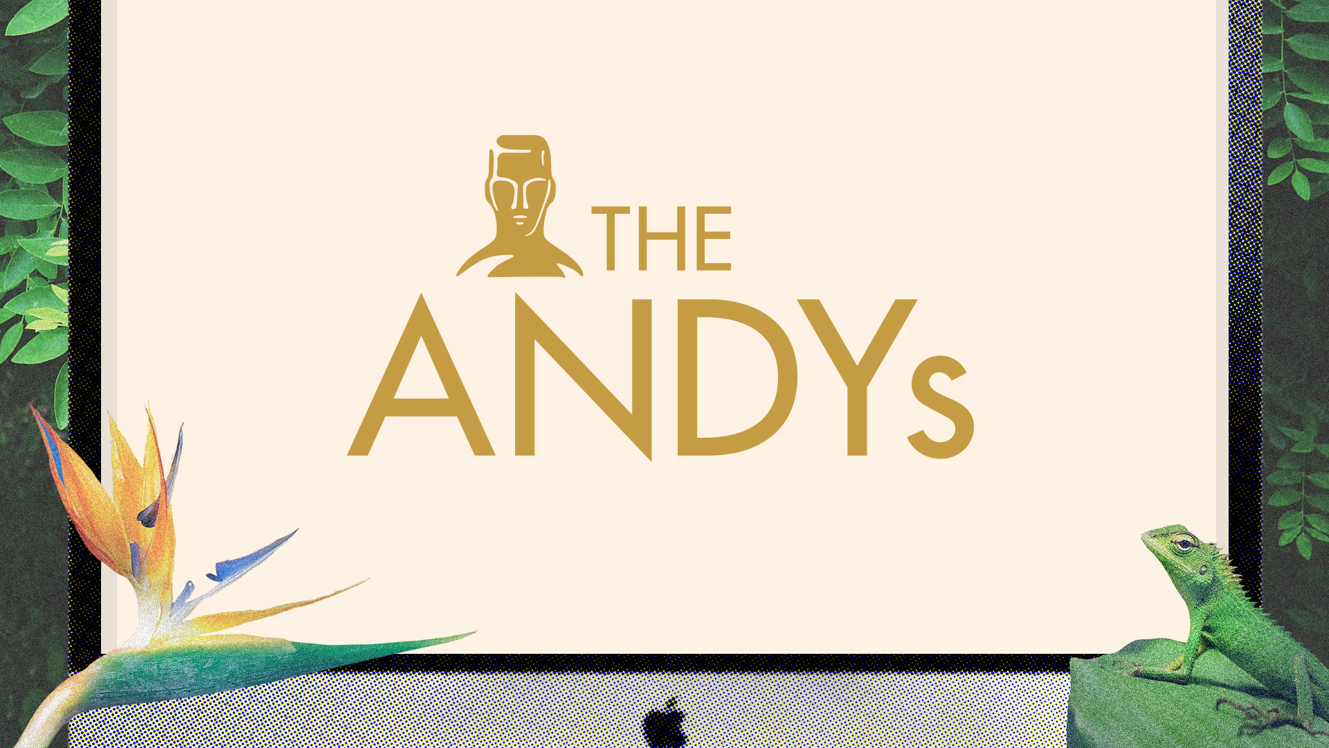 the_andys_uncloudy